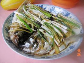 清蒸白鱼头