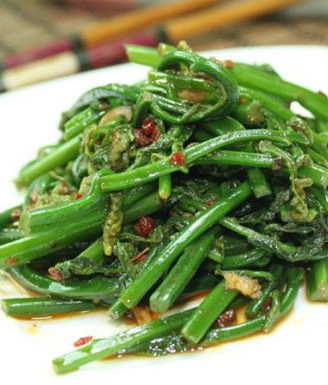 拌饭酱爆炒蕨苗